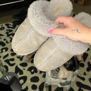 ugg slippers